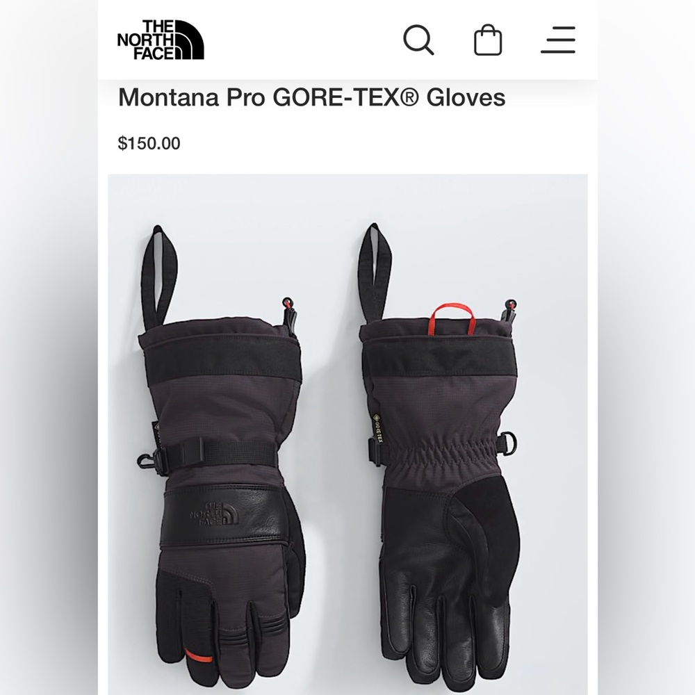 The North Face Black Gloves